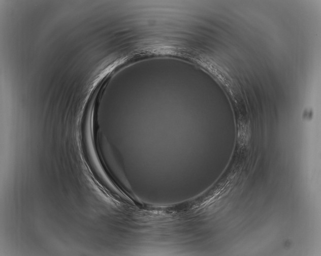 X0000095550390200712141600