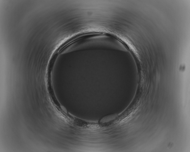 X0000095550391200712141600