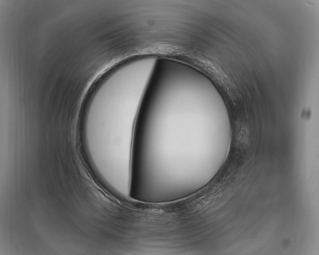 X0000095550392200712141600