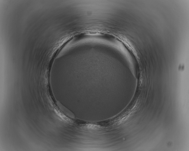 X0000095550393200712141600