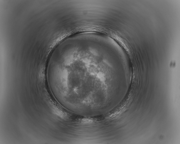 X0000095550394200712141600