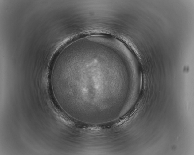 X0000095550395200712141600