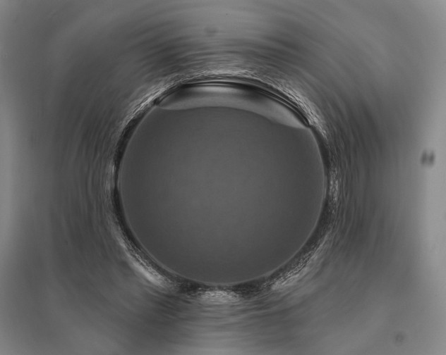 X0000095550397200712141600