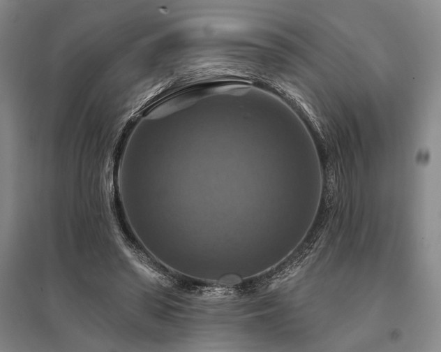 X0000095550398200712141600