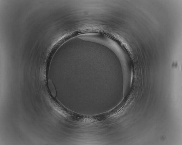 X0000095550399200712141600