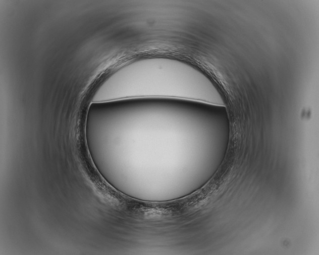 X0000095550400200712141600