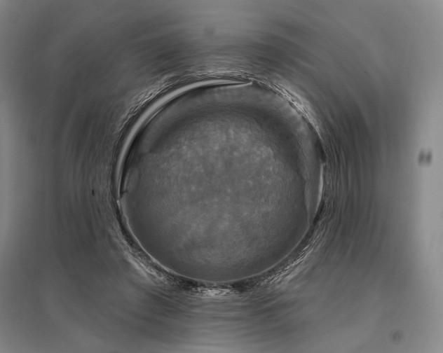 X0000095550401200712141600