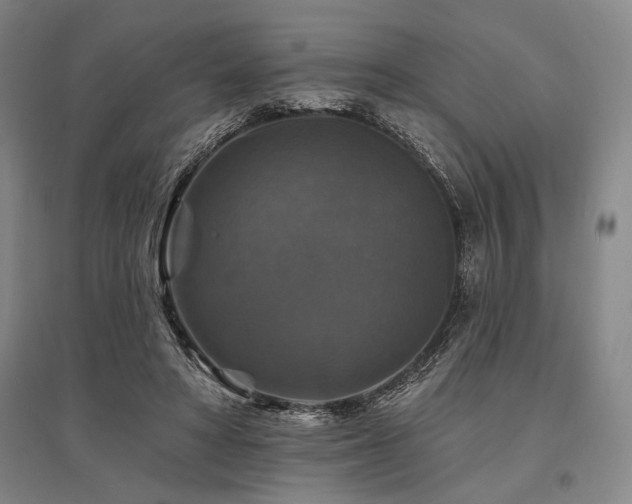 X0000095550402200712141600