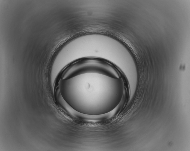 X0000095550403200712141600