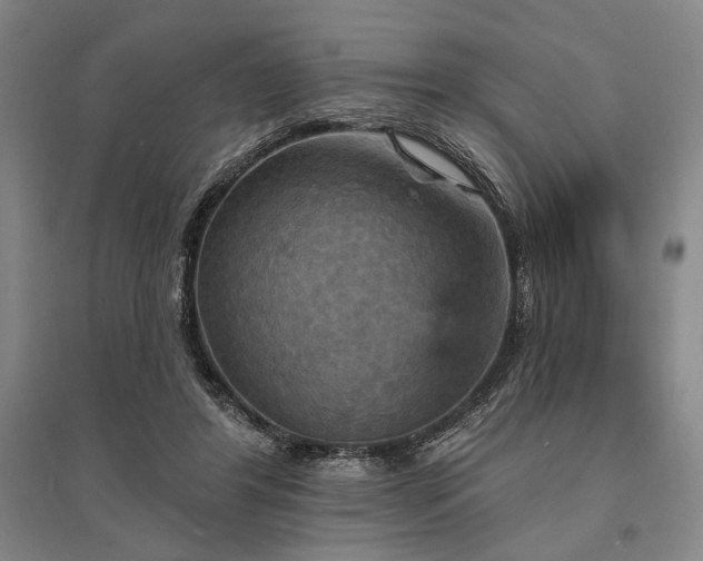 X0000095550404200712141600