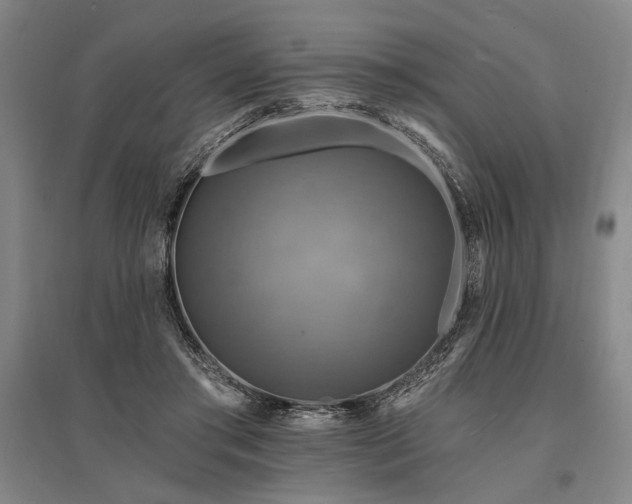 X0000095550405200712141600