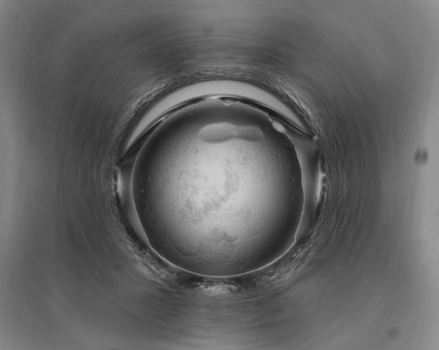 X0000095550407200712141559