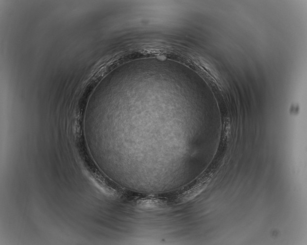 X0000095550408200712141559