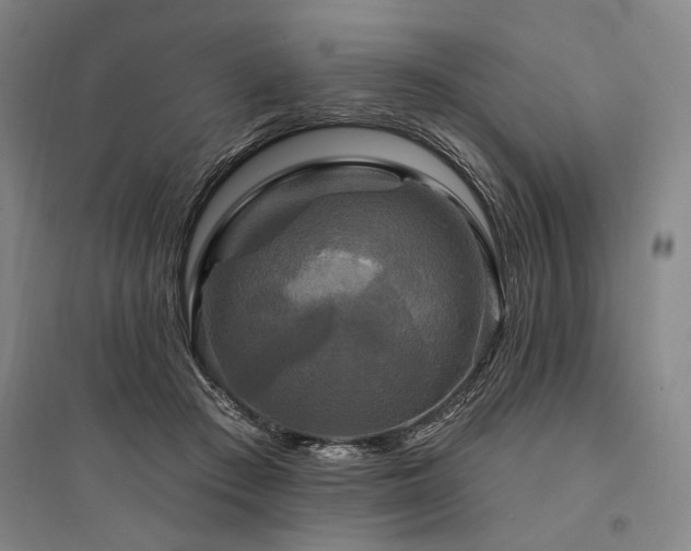 X0000095550409200712141559