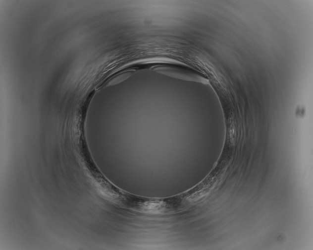 X0000095550410200712141559