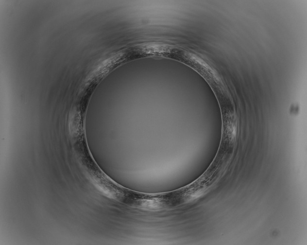 X0000095550411200712141559