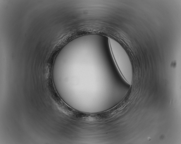 X0000095550412200712141559