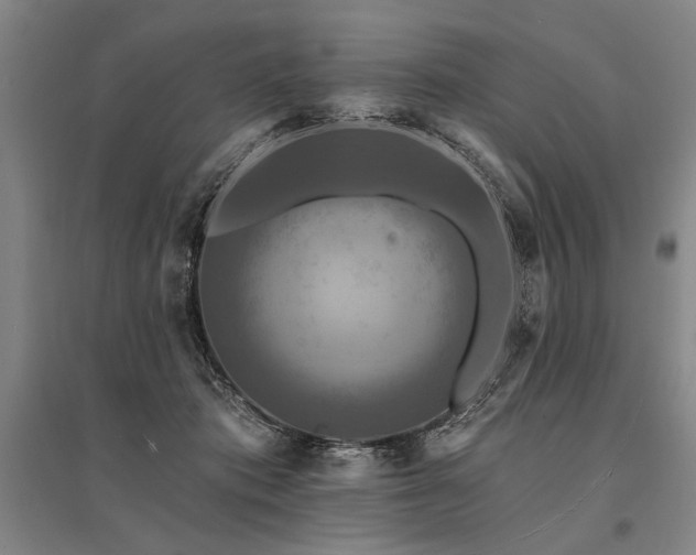 X0000095550413200712141559