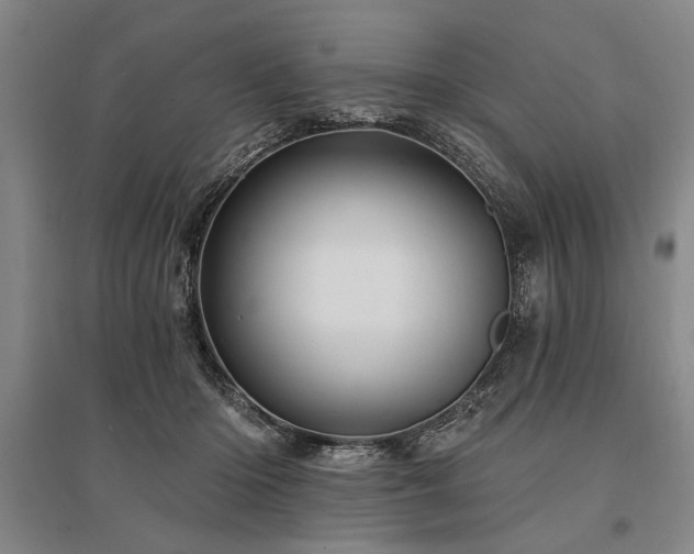 X0000095550414200712141559