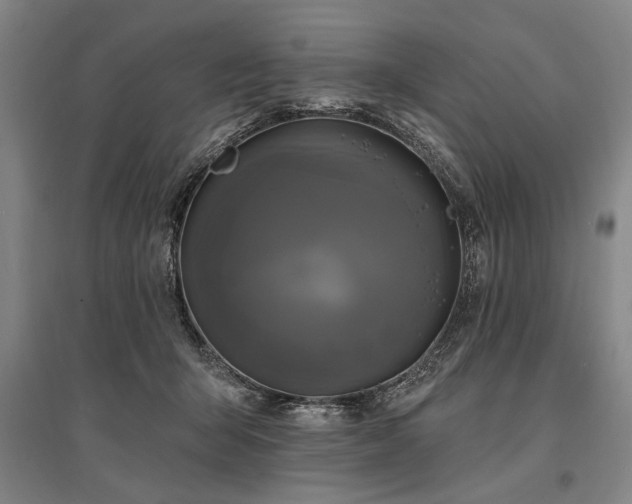 X0000095550415200712141559