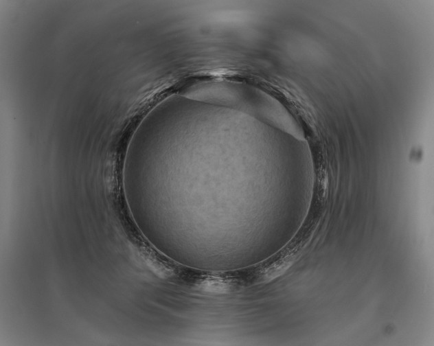 X0000095550416200712141559