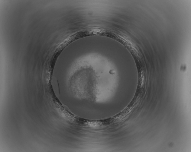 X0000095550417200712141559