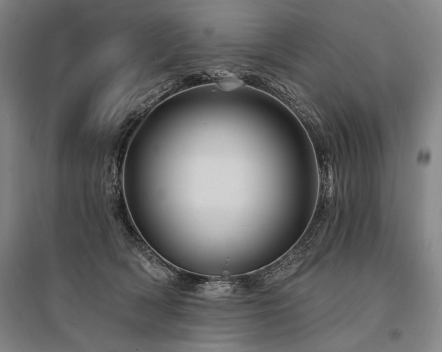 X0000095550418200712141559