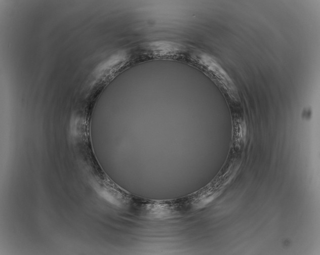 X0000095550419200712141559