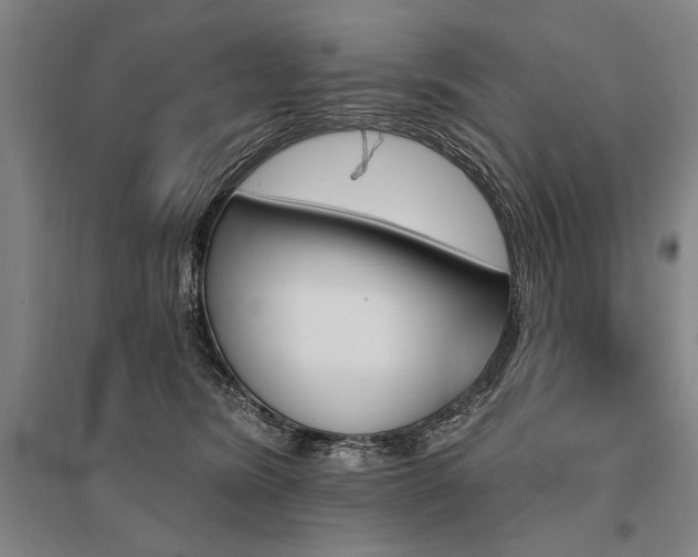 X0000095550420200712141559