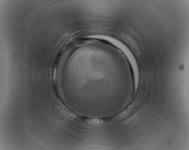 X0000095550421200712141559