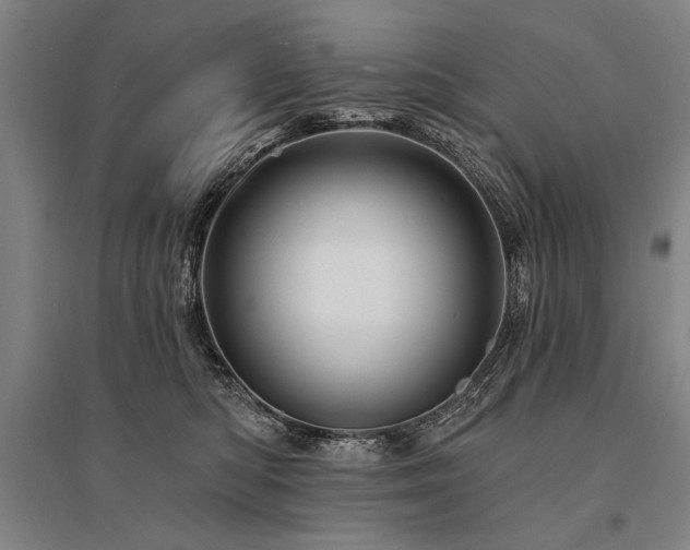 X0000095550422200712141559