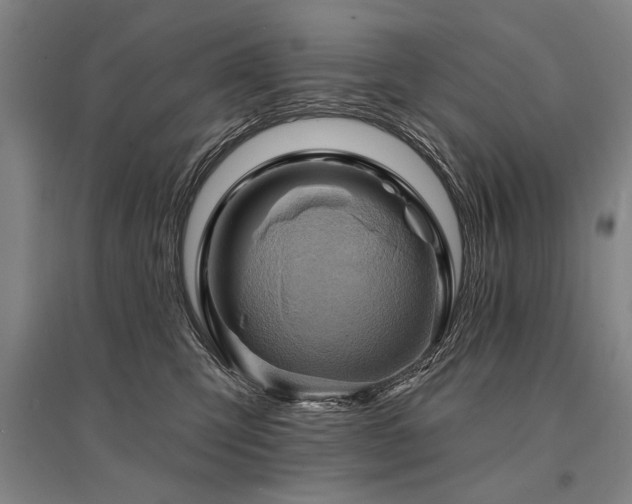 X0000095550423200712141559