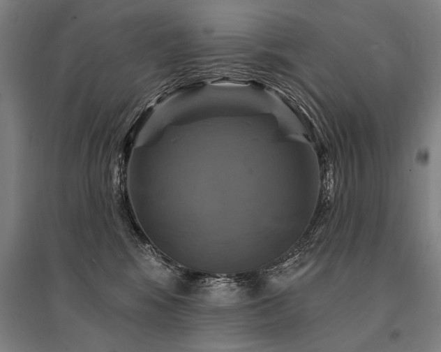 X0000095550424200712141559