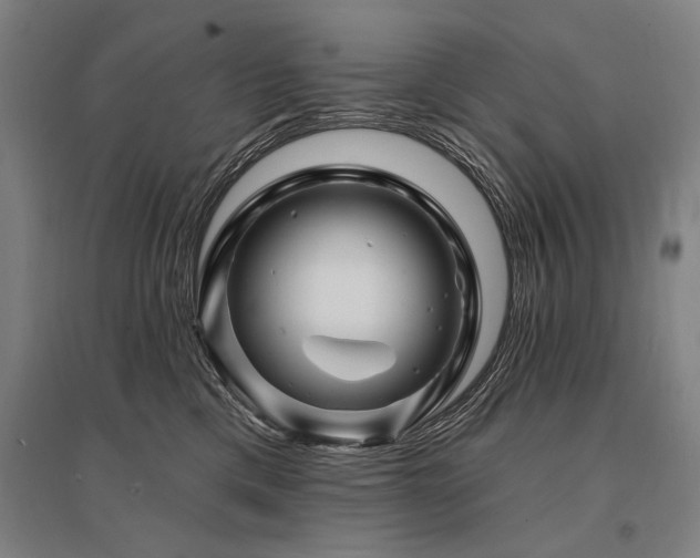 X0000095550425200712141559