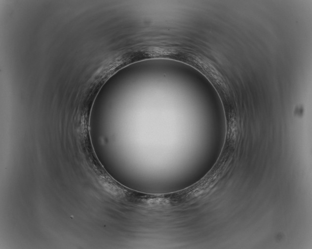 X0000095550426200712141559