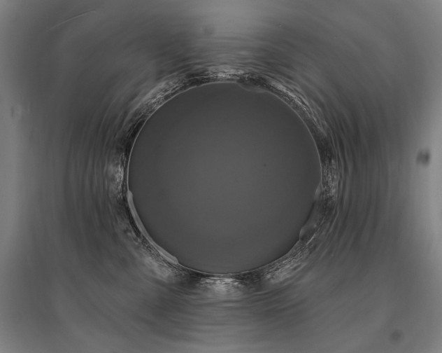 X0000095550427200712141559