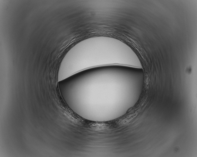 X0000095550428200712141559