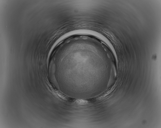 X0000095550429200712141559