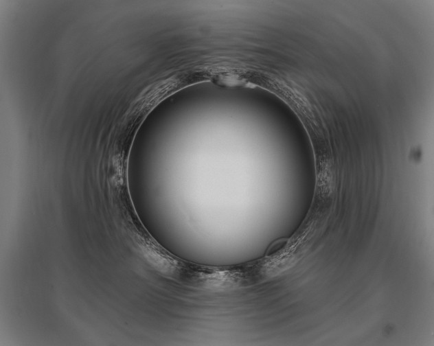 X0000095550430200712141559