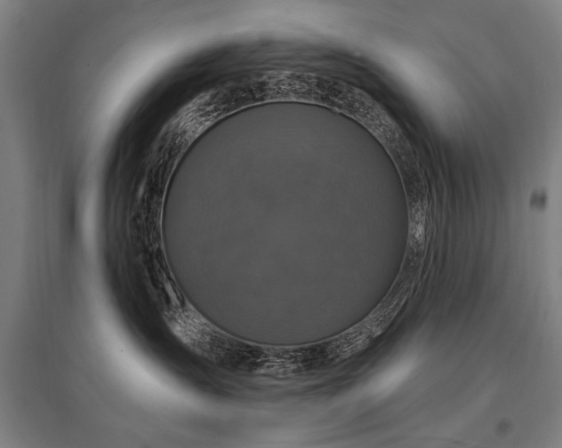 X0000095550431200712141559