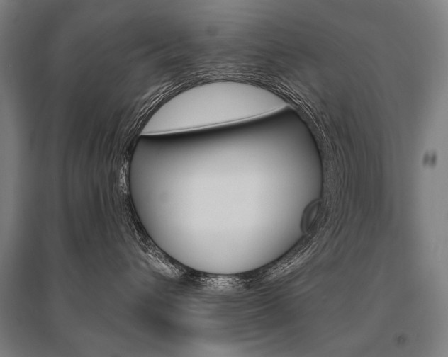 X0000095550432200712141559