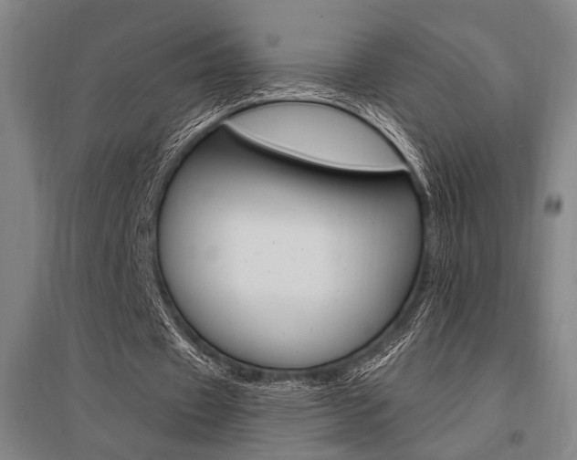 X0000095550433200712141558