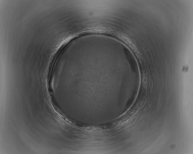 X0000095550434200712141558