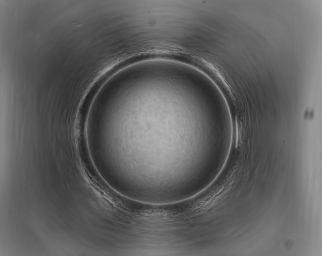 X0000095550435200712141559