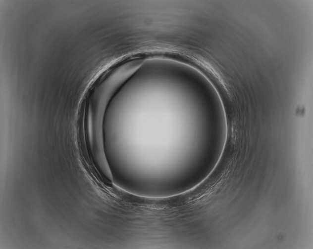 X0000095550436200712141559