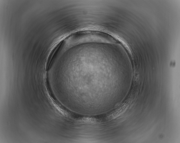 X0000095550437200712141559