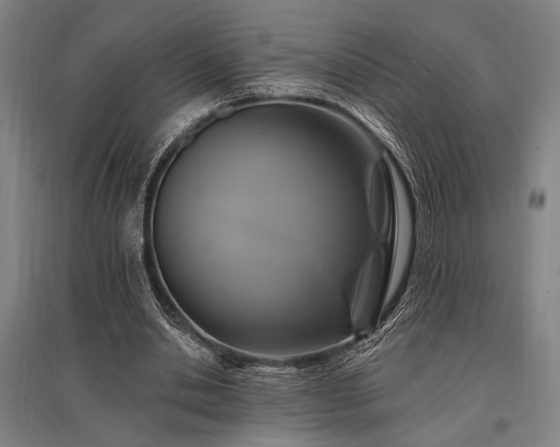 X0000095550438200712141559