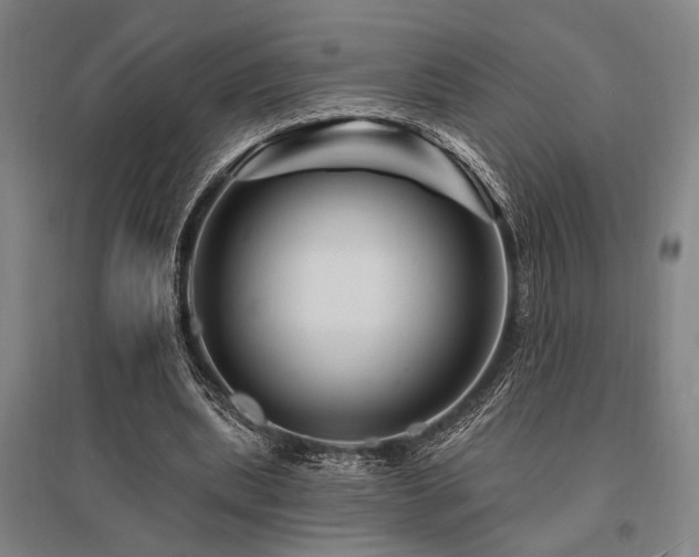 X0000095550439200712141559