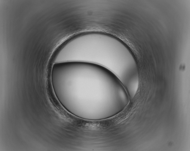 X0000095550440200712141559