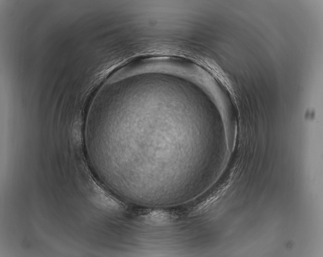 X0000095550441200712141559